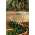 Slow Fire - Paperback