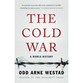 The Cold War: A World History - Paperback