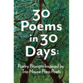 30 Poems in 30 Days: Poetry Prompts Inspired by Trio House Press Poets - Paperback