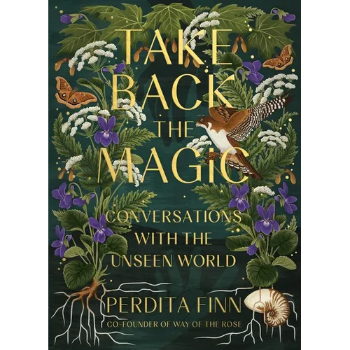 Take Back the Magic: Conversations with the Unseen World - Hardcover