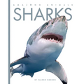 Sharks - Paperback