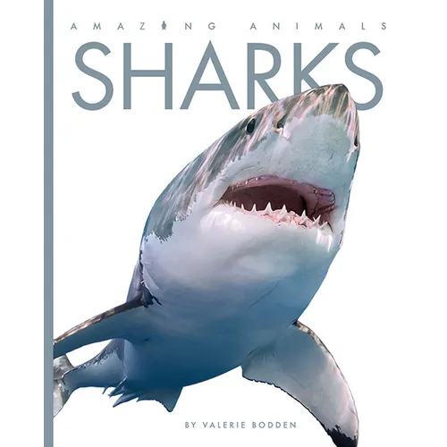 Sharks - Paperback