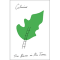 The Baron in the Trees - Paperback