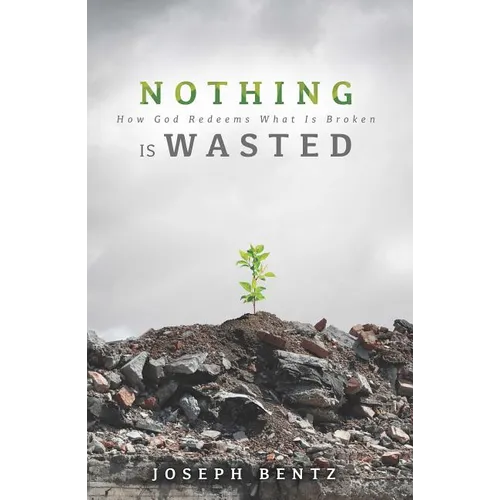 Nothing Is Wasted: How God Redeems What Is Broken - Paperback