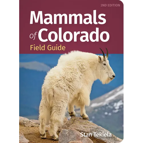 Mammals of Colorado Field Guide