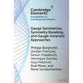 Gauge Symmetries, Symmetry Breaking, and Gauge-Invariant Approaches - Paperback