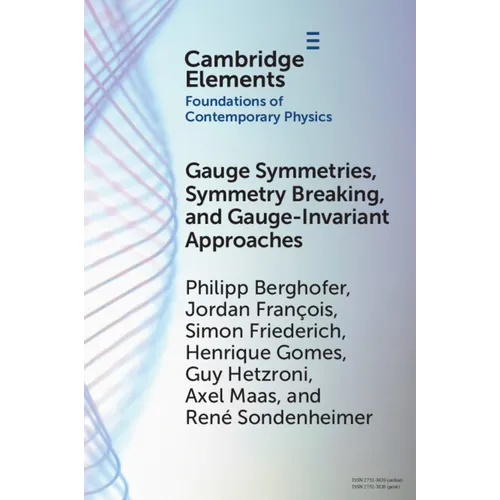 Gauge Symmetries, Symmetry Breaking, and Gauge-Invariant Approaches - Paperback