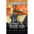 Ambush at Apache Pass: A Western Fiction Classic - Paperback