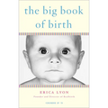 The Big Book of Birth - Paperback