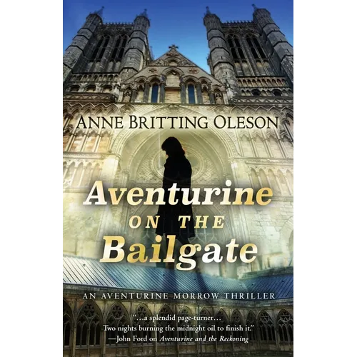 Aventurine on the Bailgate - Paperback