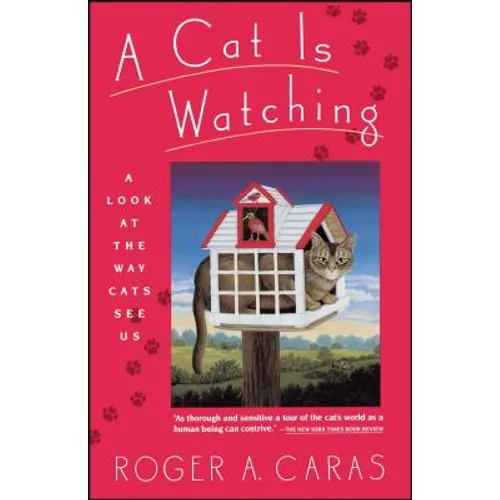 Cat Is Watching - Paperback