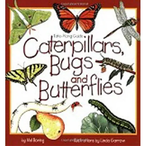 Caterpillars, Bugs and Butterflies - Paperback