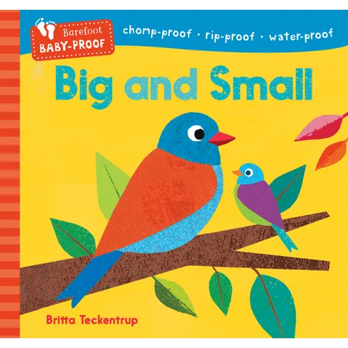 Barefoot Baby-Proof: Big and Small - Paperback