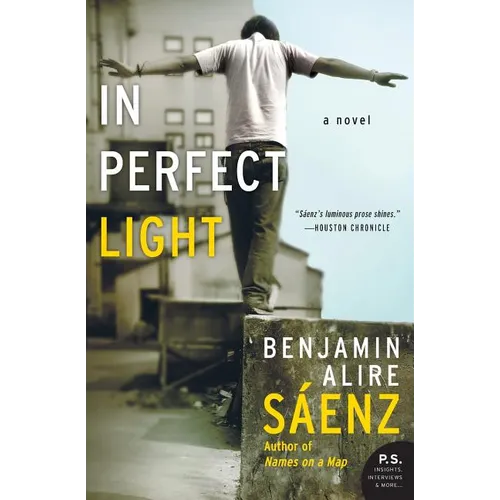 In Perfect Light - Paperback