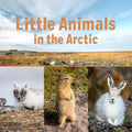 Little Animals in the Arctic: English Edition - Paperback