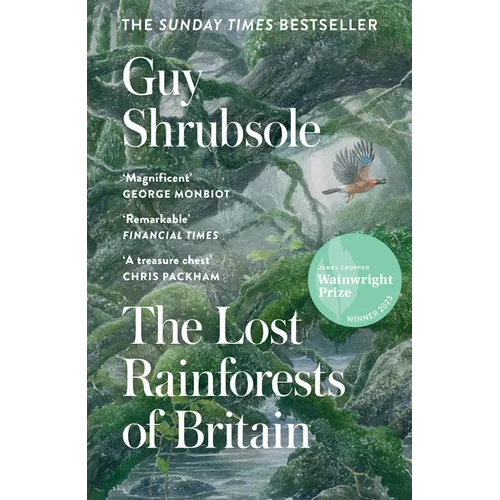 The Lost Rainforests of Britain - Paperback