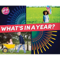 What's in a Year? - Hardcover