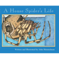 A House Spider's Life (Nature Upclose) - Paperback