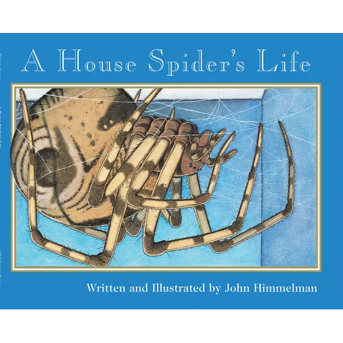 A House Spider's Life (Nature Upclose) - Paperback