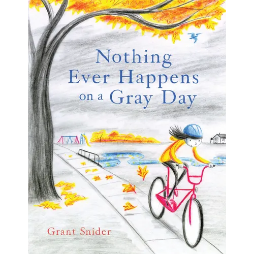 Nothing Ever Happens on a Gray Day - Hardcover