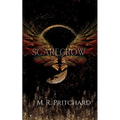 Scarecrow - Paperback