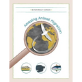 Amazing Animal Migrations - Paperback