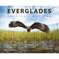 Everglades: America's Wetland - Hardcover