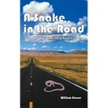 A Snake in the Road: A different take on the U.S. involvement in Vietnam