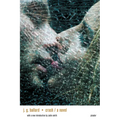 Crash - Paperback