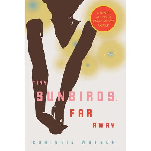 Tiny Sunbirds, Far Away - Paperback
