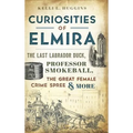 Curiosities of Elmira: The Last Labrador Duck, Professor Smokeball, the Great Female Crime Spree & More