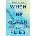 When the Ocean Flies - Paperback