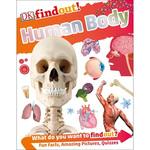 Dkfindout! Human Body - Paperback