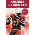 Arizona Cardinals Fun Facts