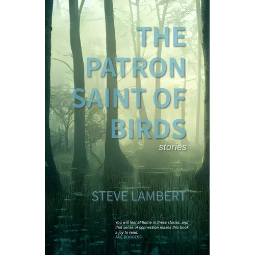 The Patron Saint of Birds (+2) - Paperback
