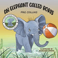An Elephant Called Boris - Paperback