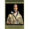 The Pale Fox - Paperback