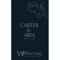 Carter & Aria: Heartless - Paperback