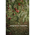 Growing Fruit Trees: A Garden Guide - Paperback
