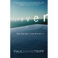 A Forever: Why You Can't Live Without It - Paperback
