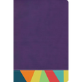 Rvr 1960 Biblia de Estudio Arcoiris, Morado/Multicolor - Imitation Leather