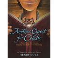 Another Quest for Celeste