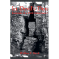 In Devil's Den Journals of a Park Interpreter - Paperback