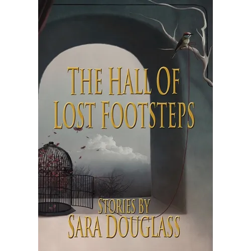 The Hall of Lost Footsteps - Hardcover