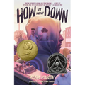 How It Went Down - Paperback