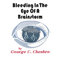 Bleeding In The Eye Of A Brainstorm - Paperback