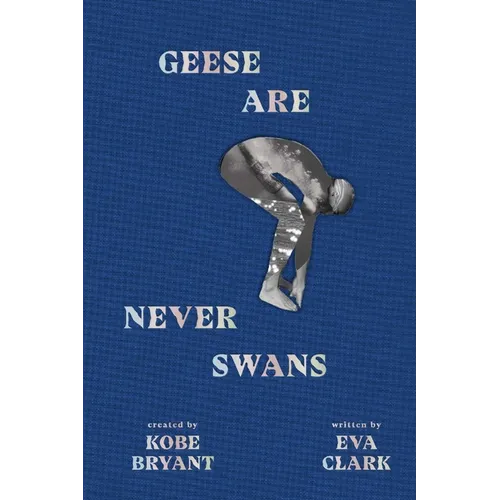 Geese Are Never Swans - Hardcover