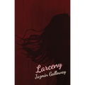 Larceny - Paperback