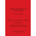 The Iron Age Settlement at 'Ain Dara, Syria: Survey and Soundings - Paperback