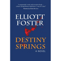 Destiny Springs - Paperback